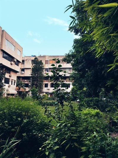 Clara Apartments landscaped courtyard, Islamabad
